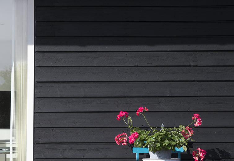 Auson Black Pine Tar wall and flowers
