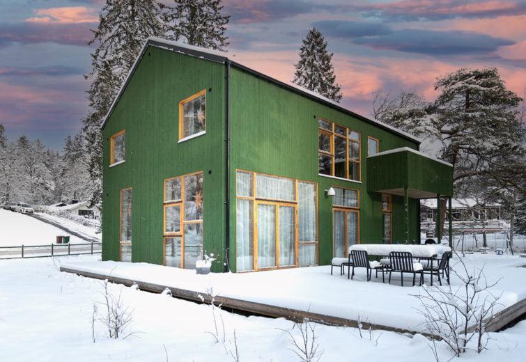 modern house green pine tar