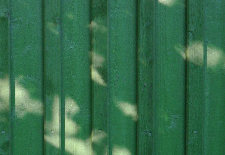 Wall boards green pine tar