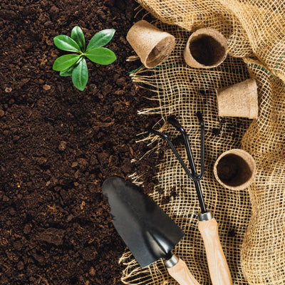 Elevate Your Gardening Game: Essential Tools from Craftsman Supply Co.
