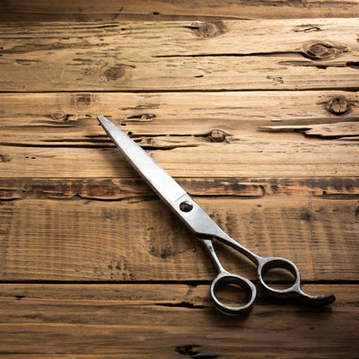Scissors | Craftsman Supply Co. (a pair of traditional looking steal scissors laying on a wooden table)