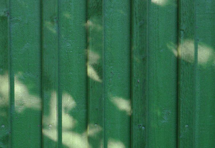 Wall boards green pine tar
