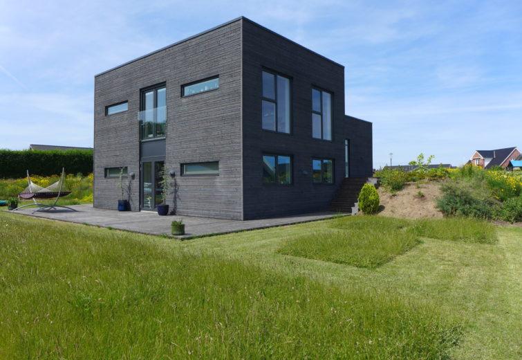 Grey Pine Tar Vitriol Modern House